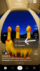 how-to-remove-sora-watermark