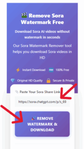 how-to-remove-sora-watermark