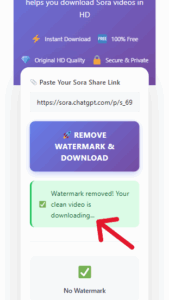 how-to-remove-sora-watermark